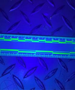 Alternative view of Magnetic Rulers (vinyl)