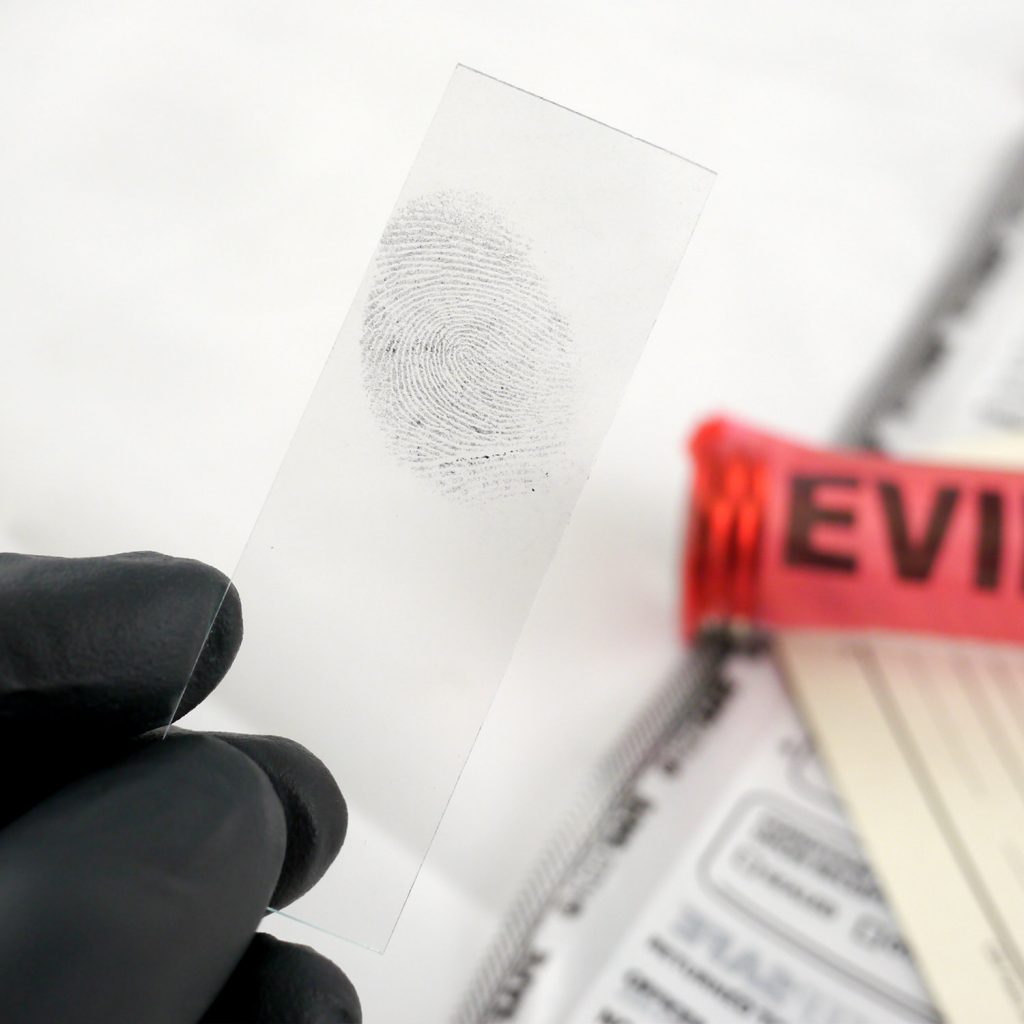 Forensic Science Kit The Missy Hammond Murder Crime Scene Forensic