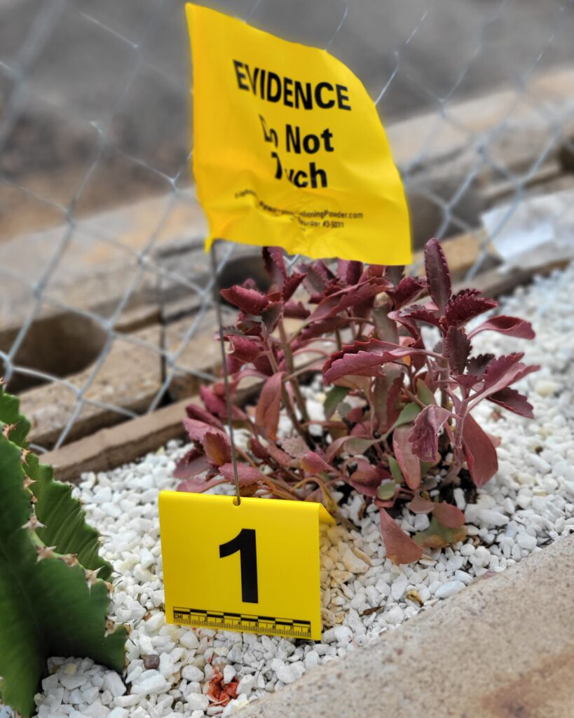 Evidence Tents with Scale, Numbered 1-20